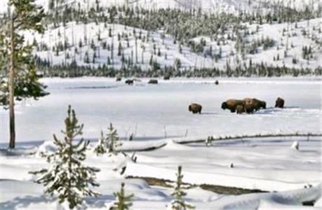 River Rock Lodge By Resort Property Management Big Sky Экстерьер фото